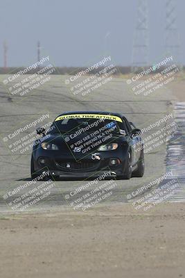 media/Nov-11-2023-GTA Finals Buttonwillow (Sat) [[117180e161]]/Group 4/Wall Paper Shots/